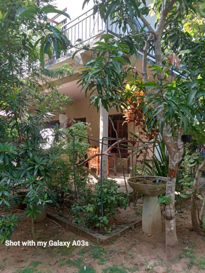 Bamboo Grove Villa Tangalle Exterior photo